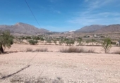 Finca rústica en venta en la España, Orihuela, ref: TR304035 foto