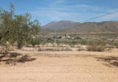 Finca rústica en venta en la España, Orihuela, ref: TR304035 foto