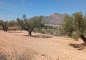 Finca rústica en venta en la España, Orihuela, ref: TR304035 foto