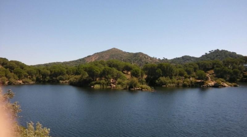 Córdoba - Córdoba - 1153m2