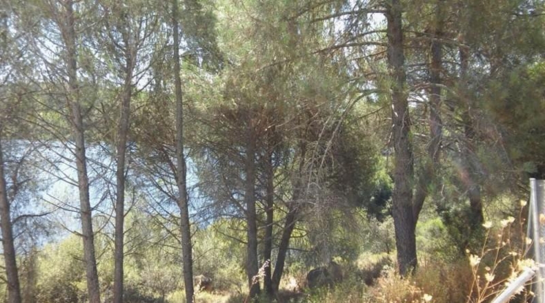 Córdoba - Córdoba - 1153m2
