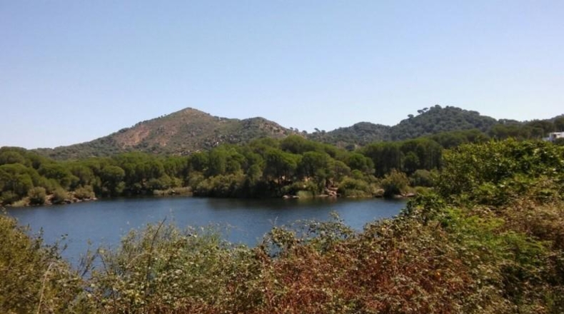 Córdoba - Córdoba - 1153m2