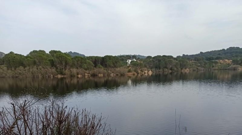 Córdoba - Córdoba - 1153m2