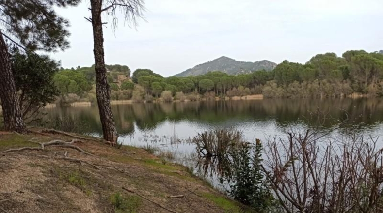 Córdoba - Córdoba - 1153m2