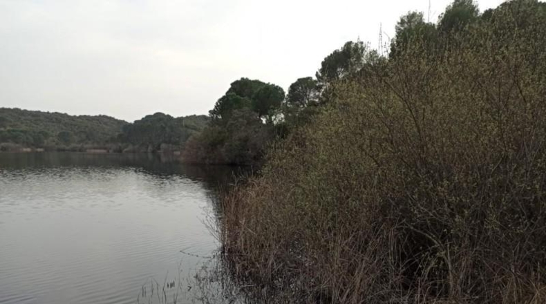 Córdoba - Córdoba - 1153m2