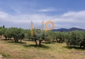 Non-developable land for sale on España, Huércal-Overa, ref: TR375903 photo