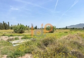 Non-developable land for sale on España, Huércal-Overa, ref: TR375903 photo