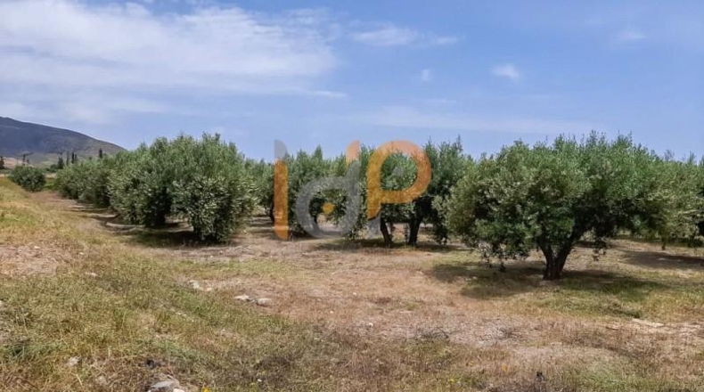 Almería - Huércal-Overa - 10025m2