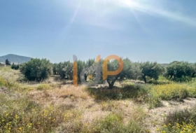 Huércal-Overa 10025&nbsp;m² 
