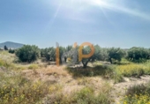 Non-developable land for sale on España, Huércal-Overa, ref: TR375903 photo