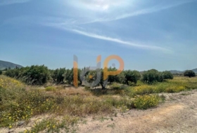 Huércal-Overa 10025&nbsp;m² 