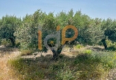 Non-developable land for sale on España, Huércal-Overa, ref: TR375903 photo