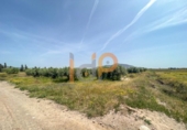 Non-developable land for sale on España, Huércal-Overa, ref: TR375903 photo