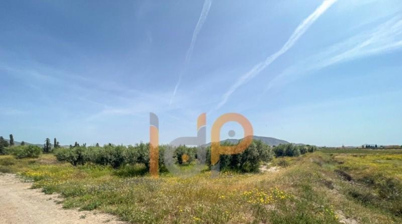 Almería - Huércal-Overa - 10025m2