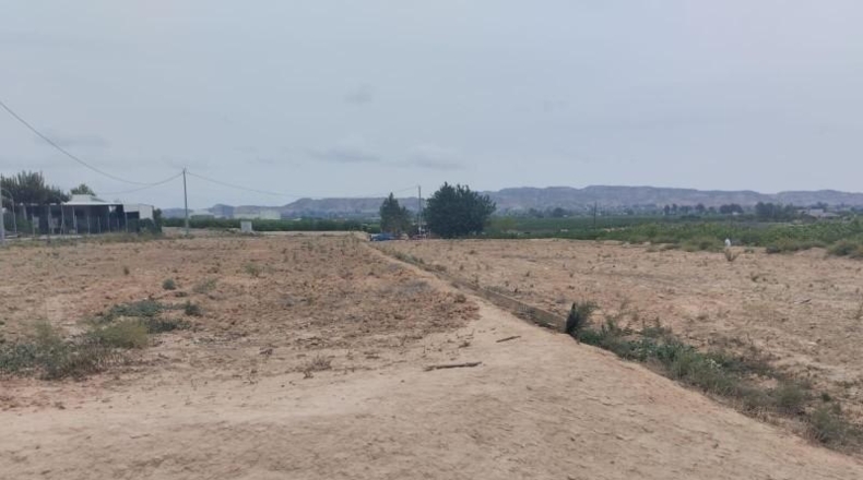 Murcia - Librilla - 7563m2