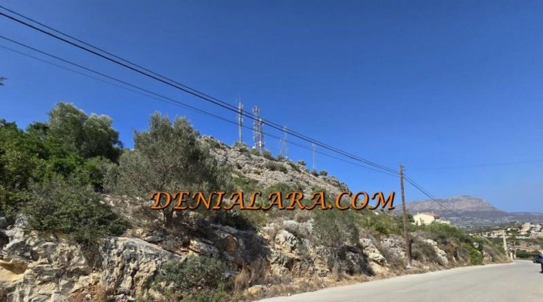 Alicante - Pedreguer - 996m2