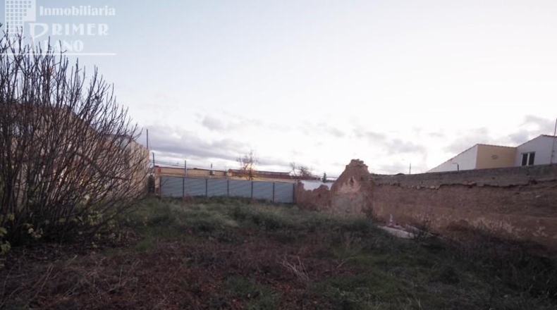 Ciudad Real - Argamasilla de Alba - 326m2