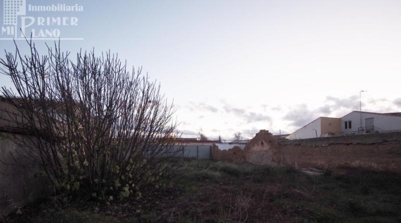 Ciudad Real - Argamasilla de Alba - 326m2