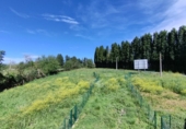 Non-developable land for sale on España, Pola de Siero, ref: TR129807 photo
