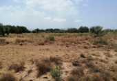 Terreny no urbanitzable en venda a la España, Fuente Álamo, ref.: TR131179 foto