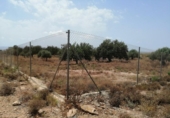 Terreny no urbanitzable en venda a la España, Fuente Álamo, ref.: TR131179 foto