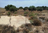 Terreny no urbanitzable en venda a la España, Fuente Álamo, ref.: TR131179 foto