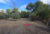 Casa con terreno en venta en la España, Peñarroya-Pueblonuevo, ref: TR296852 foto