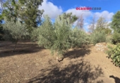 Casa con terreno en venta en la España, Peñarroya-Pueblonuevo, ref: TR296852 foto