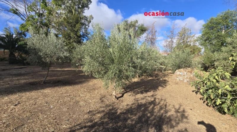 Córdoba - Peñarroya-Pueblonuevo - 2727m2