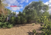 Casa con terreno en venta en la España, Peñarroya-Pueblonuevo, ref: TR296852 foto