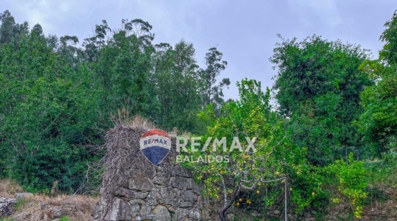 Pontevedra - Tomiño - 1415m2