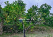 Parcela urbanizable en venta en la España, Tomiño, ref: TR180456 foto