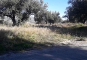Parcel·la urbanitzable en venda a la España, Moratalla, ref.: TR120958 foto