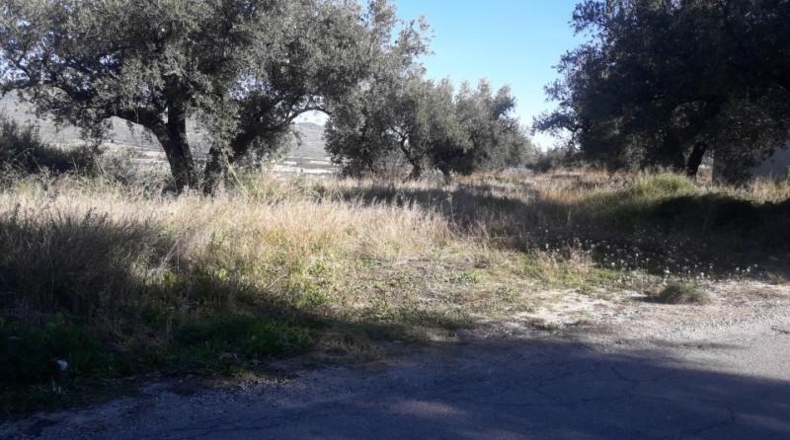 Múrcia - Moratalla - 7520m2