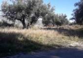Parcel·la urbanitzable en venda a la España, Moratalla, ref.: TR120958 foto
