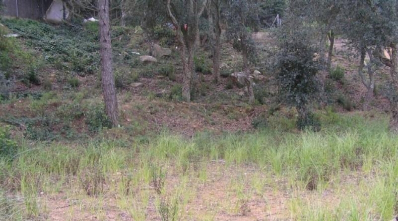 Gerona - Lloret de Mar - 850m2