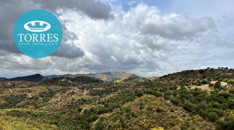 Málaga - Almogía - 25142m2