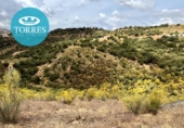 Casa prefabricada amb terreny en venda a la España, Almogía, ref.: TR302783 foto