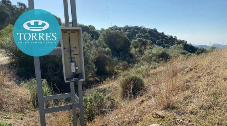 Málaga - Almogía - 25142m2