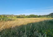 Non-developable land for sale on España, Sanxenxo, ref: TR117987 photo