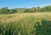 Non-developable land for sale on España, Sanxenxo, ref: TR117987 photo