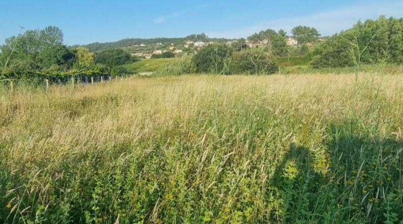 Pontevedra - Sanxenxo - 1700m2