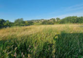 Non-developable land for sale on España, Sanxenxo, ref: TR117987 photo