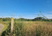 Non-developable land for sale on España, Sanxenxo, ref: TR117987 photo