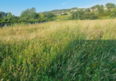 Non-developable land for sale on España, Sanxenxo, ref: TR117987 photo