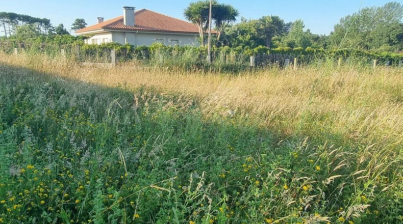 Pontevedra - Sanxenxo - 1700m2