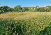 Non-developable land for sale on España, Sanxenxo, ref: TR117987 photo