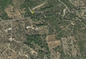 Terreno no urbanizable en venta en la España, Vandellòs, ref: TR119153 foto