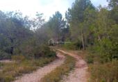 Terreny no urbanitzable en venda a la España, l'Ametlla de Mar, ref.: TR116612 foto