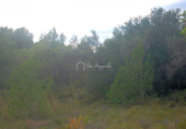 Terreny no urbanitzable en venda a la España, l'Ametlla de Mar, ref.: TR116612 foto